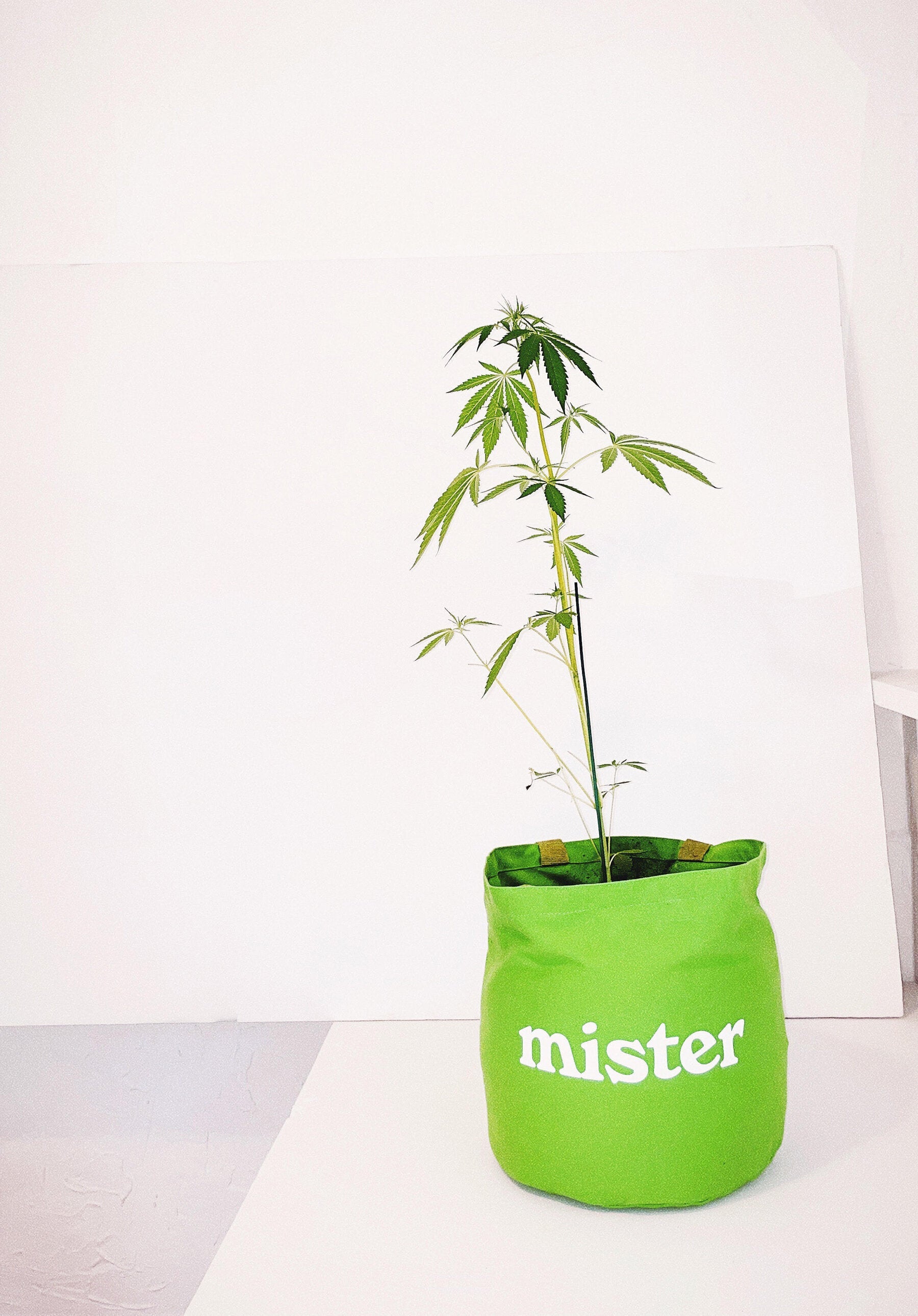 Large Round Tote / Grow Bag - Green-Mister Green-Mister Green