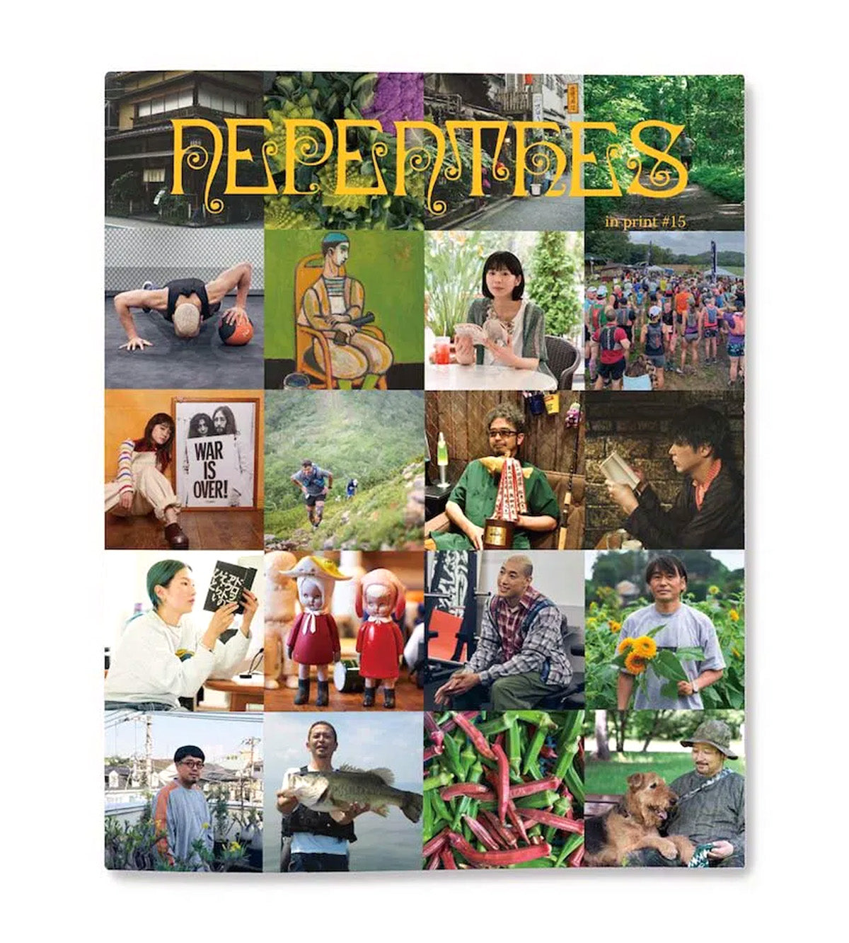 NEPENTHES in print 複数号 15冊 セット売り アーカイブ Nepenthes Magazine #15 – Mister Green