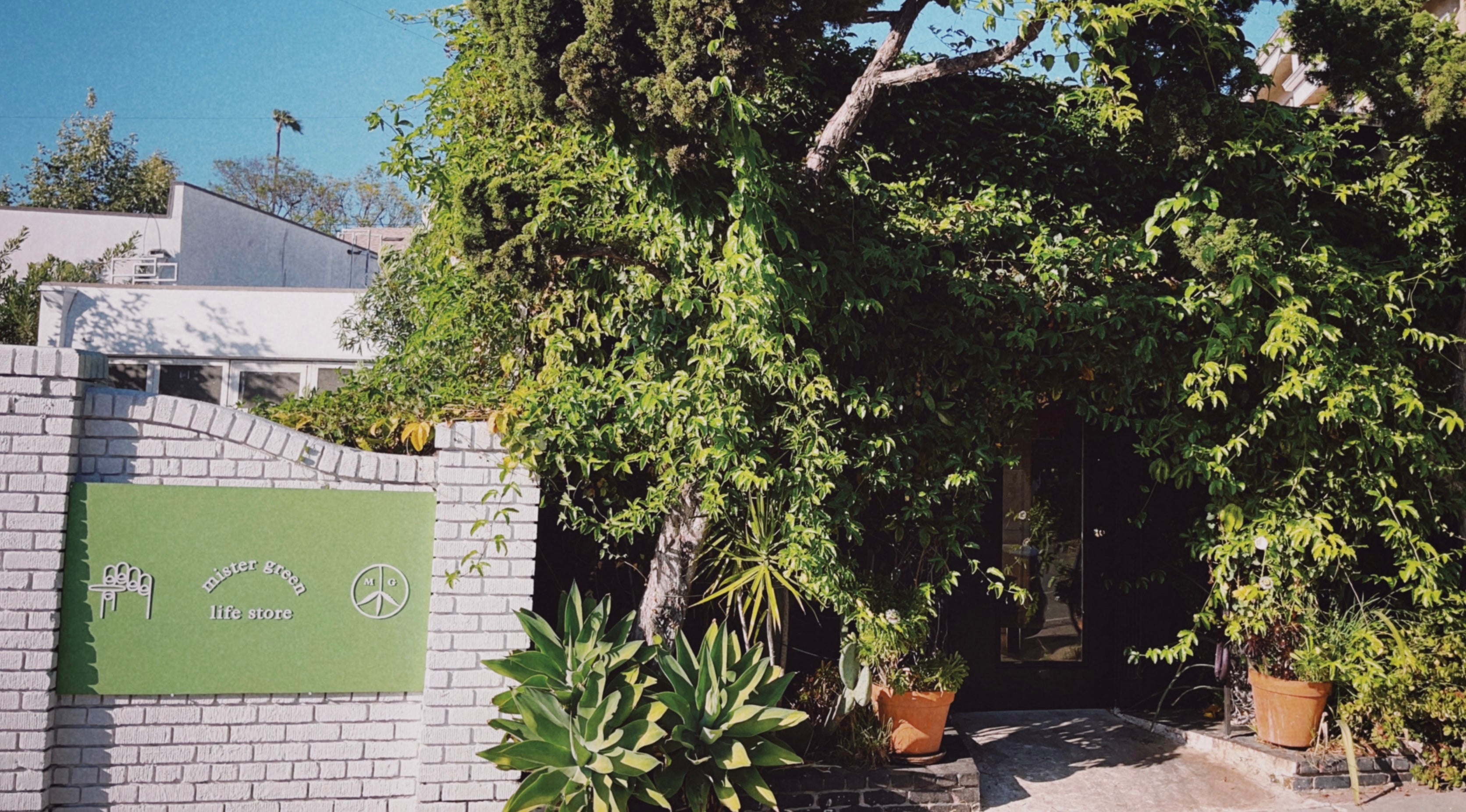 Mister Green Life Store